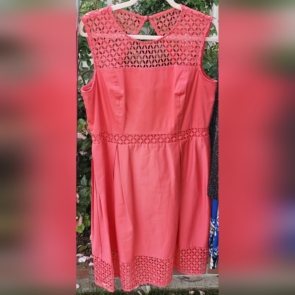 Calvin Kevin dress